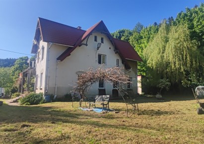dom na sprzedaż - Walim, Michałkowa