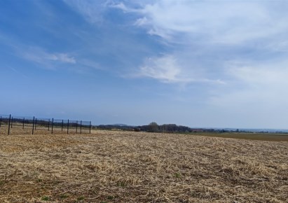 działka na sprzedaż - Łagiewniki, Słupice
