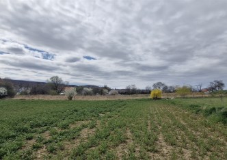 działka na sprzedaż - Świdnica (gw), Witoszów Dolny