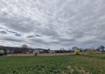 działka na sprzedaż - Świdnica (gw), Witoszów Dolny