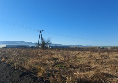 działka na sprzedaż - Dzierżoniów