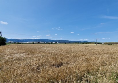działka na sprzedaż - Dzierżoniów