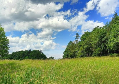 działka na sprzedaż - Szczawno-Zdrój