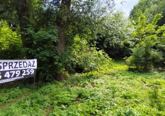 działka na sprzedaż - Świdnica (gw), Modliszów