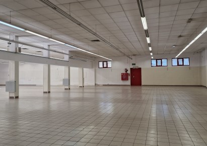 hala na sprzedaż - Dzierżoniów