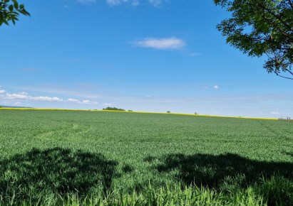 działka na sprzedaż - Świdnica (gw), Lutomia Dolna