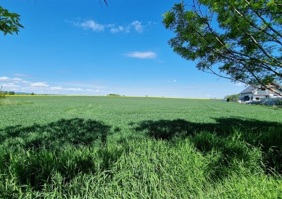 działka na sprzedaż - Świdnica (gw), Lutomia Dolna