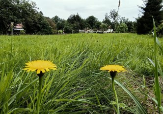 działka na sprzedaż - Marcinowice, Szczepanów