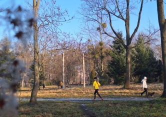 mieszkanie na wynajem - Wrocław