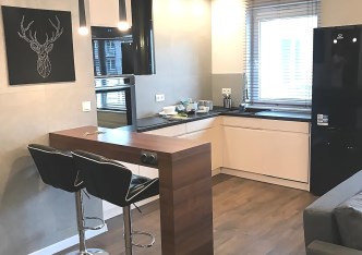 mieszkanie na wynajem - Wrocław, Psie Pole, Swojczyce