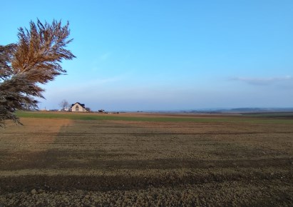 działka na sprzedaż - Łagiewniki, Słupice