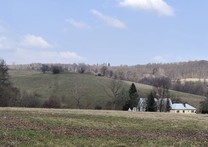 działka na sprzedaż - Walim, Zagórze Śląskie