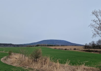 działka na sprzedaż - Marcinowice, Tąpadła