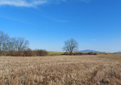 działka na sprzedaż - Świdnica (gw), Wilków