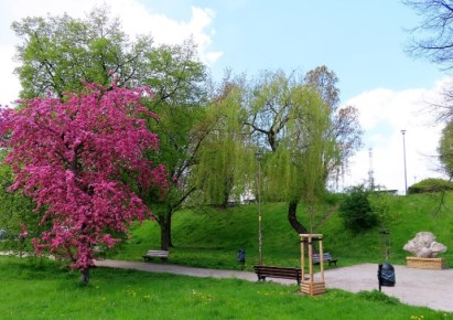 mieszkanie na sprzedaż - Wrocław