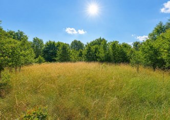 działka na sprzedaż - Świdnica (gw), Pszenno