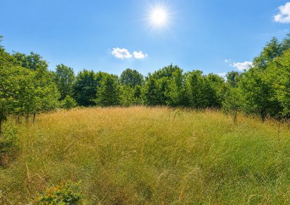 działka na sprzedaż - Świdnica (gw), Pszenno