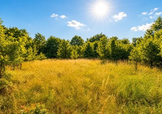 działka na sprzedaż - Świdnica (gw), Pszenno