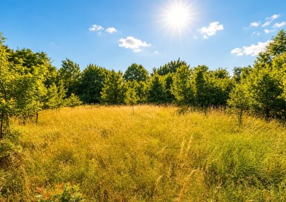 działka na sprzedaż - Świdnica (gw), Pszenno