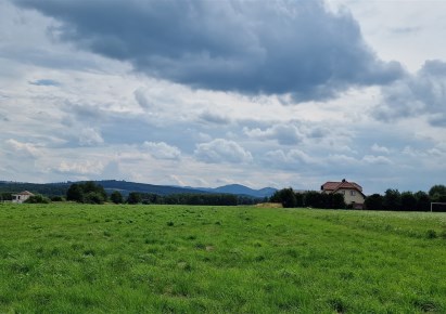działka na sprzedaż - Świdnica (gw), Modliszów
